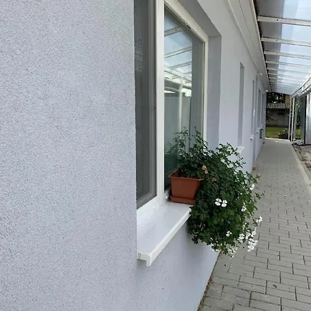 Caesar Mit Terrasse Und Guenstiger Lage In Daire *
